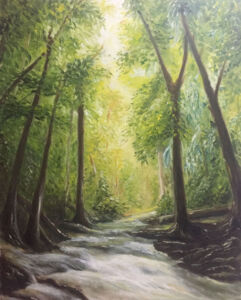Rainforest with Stream